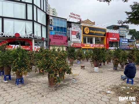 Chiều cuối cùng năm Tân Sửu: Các điểm bán đào, quất, lan... ở Hà Nội ế khách, hoa bó đắt hàng - Ảnh 5. Chiều cuối cùng năm Tân Sửu: Các điểm bán đào, quất, lan... ở Hà Nội ế khách, hoa bó đắt hàng - Ảnh 5.