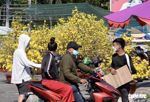 Hoa cắt cành bán chạy, hoa chưng Tết giảm giá sập sàn - Ảnh 3. Hoa cắt cành bán chạy, hoa chưng Tết giảm giá sập sàn - Ảnh 3.