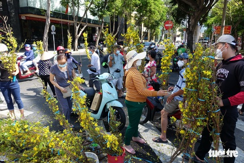 Hoa cắt cành bán chạy, hoa chưng Tết giảm giá sập sàn - Ảnh 2. Hoa cắt cành bán chạy, hoa chưng Tết giảm giá sập sàn - Ảnh 2.