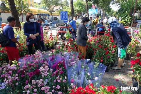 Hoa cắt cành bán chạy, hoa chưng Tết giảm giá sập sàn - Ảnh 8. Hoa cắt cành bán chạy, hoa chưng Tết giảm giá sập sàn - Ảnh 8.
