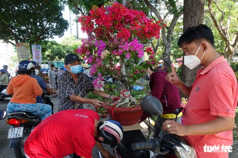 Hoa cắt cành bán chạy, hoa chưng Tết giảm giá sập sàn - Ảnh 5. Hoa cắt cành bán chạy, hoa chưng Tết giảm giá sập sàn - Ảnh 5.