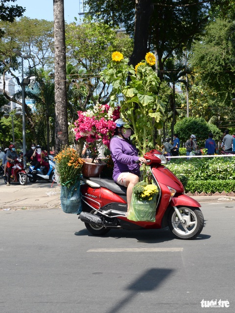 Hoa cắt cành bán chạy, hoa chưng Tết giảm giá sập sàn - Ảnh 11. Hoa cắt cành bán chạy, hoa chưng Tết giảm giá sập sàn - Ảnh 11.