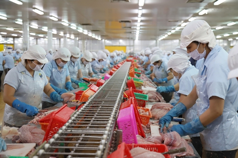 Làm gì để giấc mơ xuất khẩu thủy sản 10 tỉ USD không xa vời? - Ảnh 1. Làm gì để giấc mơ xuất khẩu thủy sản 10 tỉ USD không xa vời? - Ảnh 1.