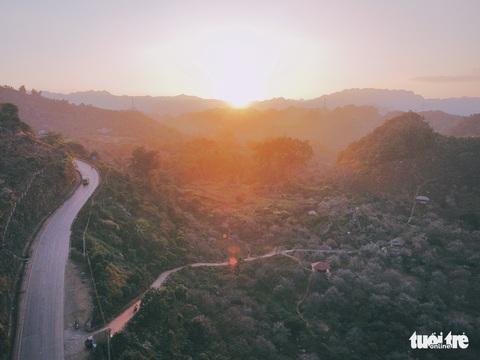 Ngắm thung lũng rừng mơ đẹp ‘đắm say’ lòng người ở Mộc Châu - Ảnh 7. Ngắm thung lũng rừng mơ đẹp ‘đắm say’ lòng người ở Mộc Châu - Ảnh 7.