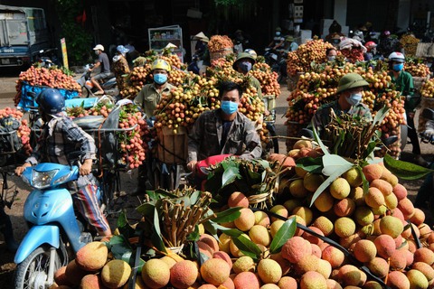 Trung Quốc ngừng nhập, trái cây lại bán đổ bán tháo: Do đâu, có lối ra không? - Ảnh 1. Trung Quốc ngừng nhập, trái cây lại bán đổ bán tháo: Do đâu, có lối ra không? - Ảnh 1.