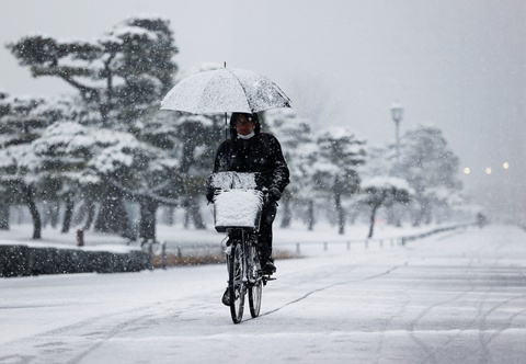 Tuyết rơi bất thường phủ trắng thủ đô Tokyo, tàu xe trễ nải nhưng dân thích - Ảnh 6. Tuyết rơi bất thường phủ trắng thủ đô Tokyo, tàu xe trễ nải nhưng dân thích - Ảnh 6.