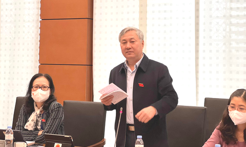 Chuyển đổi sang đất ở không qua đấu giá cho 200 nhà đầu tư: Có lợi ích nhóm không? - Ảnh 1. Chuyển đổi sang đất ở không qua đấu giá cho 200 nhà đầu tư: Có lợi ích nhóm không? - Ảnh 1.
