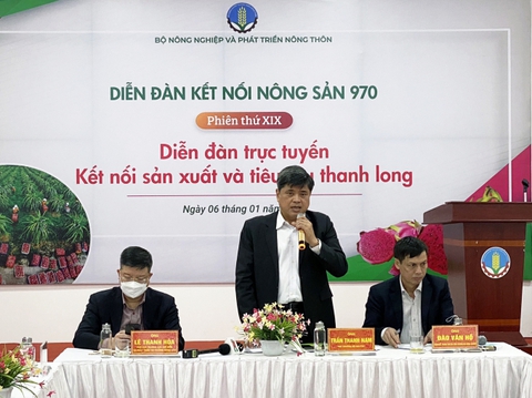 300.000 tấn thanh long cần tiêu thụ, vận động thương nhân Trung Quốc thu mua - Ảnh 2. 300.000 tấn thanh long cần tiêu thụ, vận động thương nhân Trung Quốc thu mua - Ảnh 2.