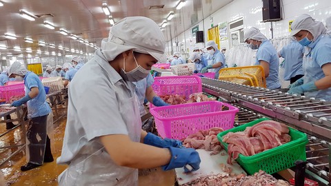 Kỳ vọng 2022: Chiến thắng dịch bệnh, phục hồi kinh tế - Ảnh 2. Kỳ vọng 2022: Chiến thắng dịch bệnh, phục hồi kinh tế - Ảnh 2.