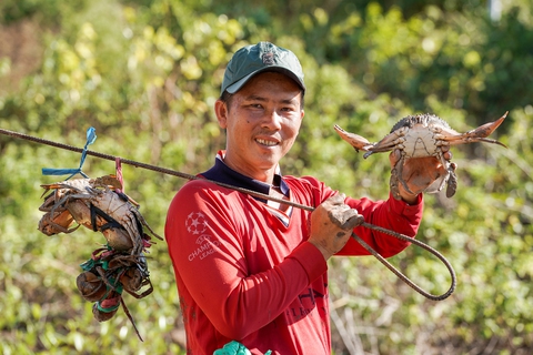 Cua Cà Mau ngoại truyện - Kỳ 2: Nhờ đâu cua Cà Mau danh bất hư truyền? - Ảnh 1. Cua Cà Mau ngoại truyện - Kỳ 2: Nhờ đâu cua Cà Mau danh bất hư truyền? - Ảnh 1.