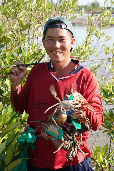 Cua Cà Mau ngoại truyện - Kỳ 1: Loài cua ngon nhất Việt Nam - Ảnh 3. Cua Cà Mau ngoại truyện - Kỳ 1: Loài cua ngon nhất Việt Nam - Ảnh 3.