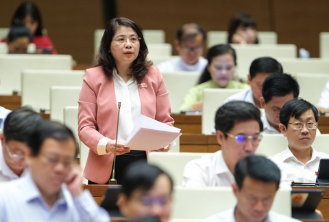 Sửa Luật Dầu khí: Cần lấp khoảng trống pháp lý về nhà thầu - Ảnh 3. Sửa Luật Dầu khí: Cần lấp khoảng trống pháp lý về nhà thầu - Ảnh 3.