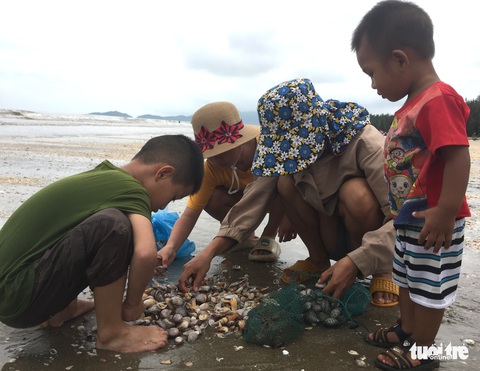 Hàng ngàn người hò nhau đi vớt ‘lộc biển’ sau mưa bão - Ảnh 7. Hàng ngàn người hò nhau đi vớt ‘lộc biển’ sau mưa bão - Ảnh 7.