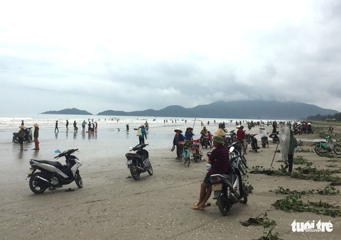 Hàng ngàn người hò nhau đi vớt ‘lộc biển’ sau mưa bão - Ảnh 1. Hàng ngàn người hò nhau đi vớt ‘lộc biển’ sau mưa bão - Ảnh 1.