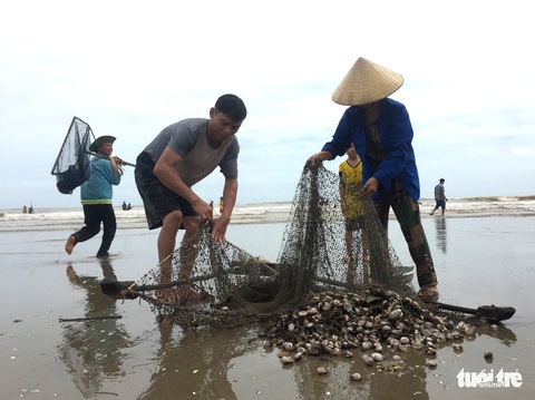 Hàng ngàn người hò nhau đi vớt ‘lộc biển’ sau mưa bão - Ảnh 4. Hàng ngàn người hò nhau đi vớt ‘lộc biển’ sau mưa bão - Ảnh 4.