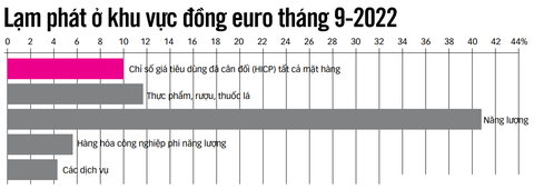 Lạm phát kỷ lục ở khu vực các nước sử dụng đồng tiền chung euro - Ảnh 2. Lạm phát kỷ lục ở khu vực các nước sử dụng đồng tiền chung euro - Ảnh 2.