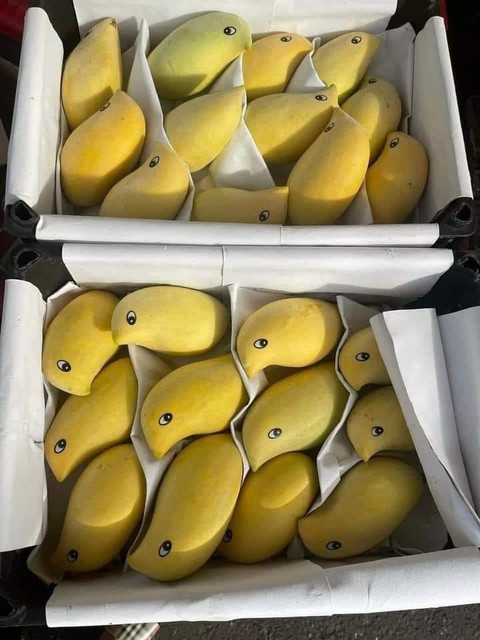 Ảnh vui 11-10: Đừng để buổi họp phụ huynh ảnh hưởng đến hạnh phúc gia đình - Ảnh 6. Ảnh vui 11-10: Đừng để buổi họp phụ huynh ảnh hưởng đến hạnh phúc gia đình - Ảnh 6.