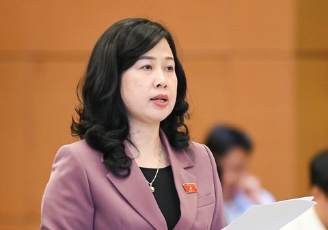 Bộ trưởng Đào Hồng Lan: Đấu thầu thuốc mất 6-8 tháng nhưng thời gian ký hợp đồng chỉ 1 năm - Ảnh 1. Bộ trưởng Đào Hồng Lan: Đấu thầu thuốc mất 6-8 tháng nhưng thời gian ký hợp đồng chỉ 1 năm - Ảnh 1.