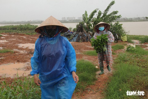 Miền Trung mưa lớn trong hai ngày tới, lo với lũ quét - Ảnh 1. Miền Trung mưa lớn trong hai ngày tới, lo với lũ quét - Ảnh 1.