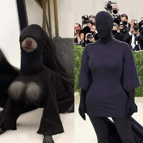 Cô chó cosplay loạt sao nổi tiếng - Ảnh 5. Cô chó cosplay loạt sao nổi tiếng - Ảnh 5.