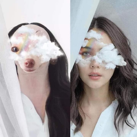 Cô chó cosplay loạt sao nổi tiếng - Ảnh 4. Cô chó cosplay loạt sao nổi tiếng - Ảnh 4.