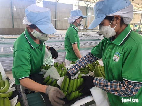 Bầu Đức bị tung tin đồn thất thiệt, con gái ra tay mua thêm cổ phiếu Hoàng Anh Gia Lai - Ảnh 1. Bầu Đức bị tung tin đồn thất thiệt, con gái ra tay mua thêm cổ phiếu Hoàng Anh Gia Lai - Ảnh 1.
