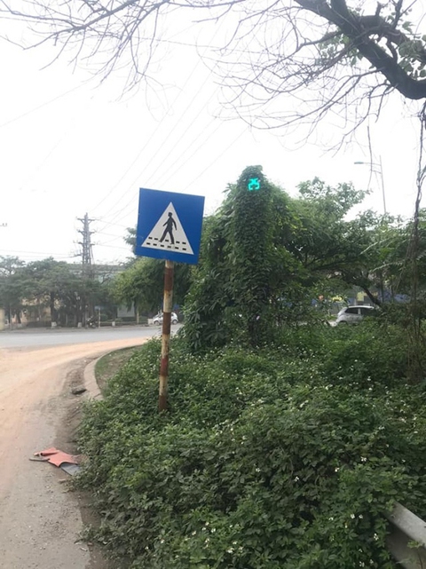 Dở khóc dở cười với những cột đèn giao thông - Ảnh 6. Dở khóc dở cười với những cột đèn giao thông - Ảnh 6.