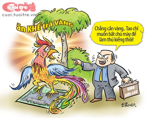 Chim thần qua lăng kính giàu - nghèo - Ảnh 1. Chim thần qua lăng kính giàu - nghèo - Ảnh 1.