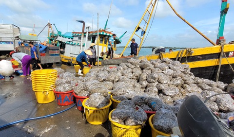 Kiên quyết không cho tàu cá chưa lắp giám sát hành trình ra biển - Ảnh 2. Kiên quyết không cho tàu cá chưa lắp giám sát hành trình ra biển - Ảnh 2.