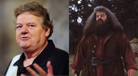 Diễn viên vào vai bác Hagrid của phim Harry Potter qua đời - Ảnh 1. Diễn viên vào vai bác Hagrid của phim Harry Potter qua đời - Ảnh 1.