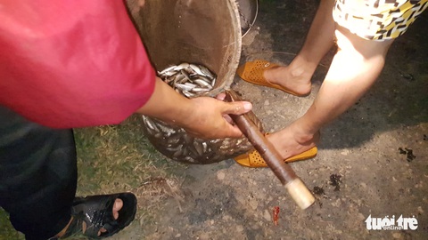 Dân miền Tây tất bật đánh bắt cá đồng mùa lũ lớn - Ảnh 5. Dân miền Tây tất bật đánh bắt cá đồng mùa lũ lớn - Ảnh 5.