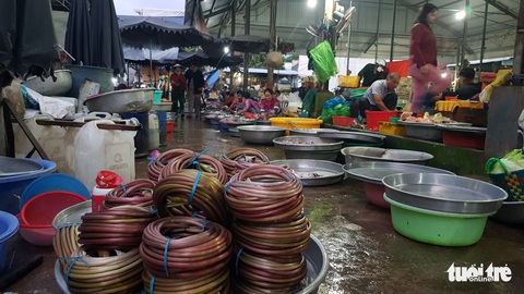 Dân miền Tây tất bật đánh bắt cá đồng mùa lũ lớn - Ảnh 7. Dân miền Tây tất bật đánh bắt cá đồng mùa lũ lớn - Ảnh 7.