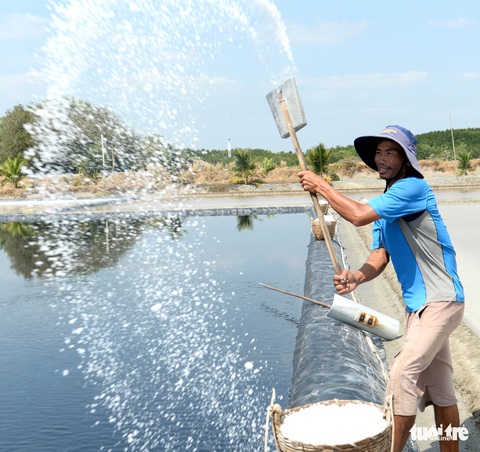 Ông vua làm muối kết tinh - Ảnh 2. Ông vua làm muối kết tinh - Ảnh 2.