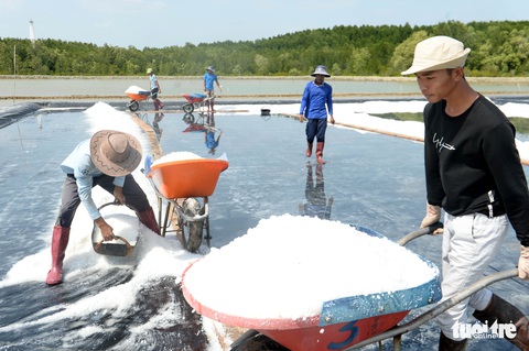 Ông vua làm muối kết tinh - Ảnh 5. Ông vua làm muối kết tinh - Ảnh 5.