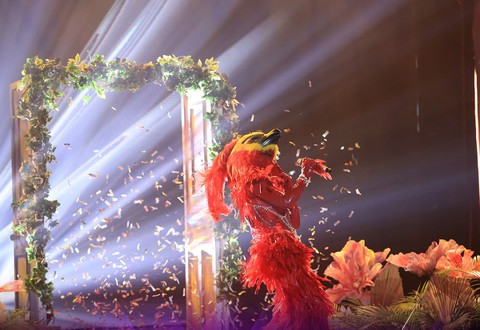 Phượng Hoàng Lửa gây sốc với màn tự lộ diện ở Ca sĩ mặt nạ - Ảnh 1. Phượng Hoàng Lửa gây sốc với màn tự lộ diện ở Ca sĩ mặt nạ - Ảnh 1.
