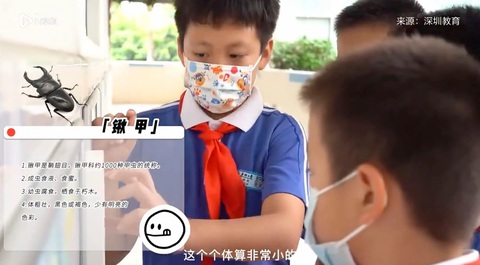 Cậu bé 9 tuổi có 10 triệu người theo dõi nhờ am hiểu về côn trùng - Ảnh 2. Cậu bé 9 tuổi có 10 triệu người theo dõi nhờ am hiểu về côn trùng - Ảnh 2.