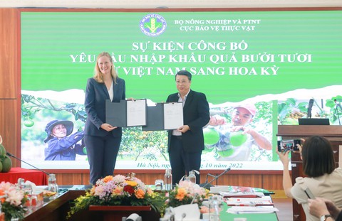 Trái bưởi Việt Nam muốn xuất sang Mỹ cần đáp ứng yêu cầu gì? - Ảnh 1. Trái bưởi Việt Nam muốn xuất sang Mỹ cần đáp ứng yêu cầu gì? - Ảnh 1.