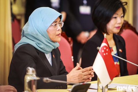 Chủ tịch nước đón và hội đàm Tổng thống Singapore thăm cấp nhà nước Việt Nam - Ảnh 8. Chủ tịch nước đón và hội đàm Tổng thống Singapore thăm cấp nhà nước Việt Nam - Ảnh 8.