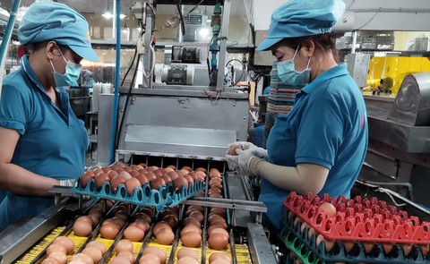 Tin tức sáng 16-3: Xét xử 62 bị cáo trong vụ án đánh bạc ngàn tỉ - Ảnh 1. Tin tức sáng 16-3: Xét xử 62 bị cáo trong vụ án đánh bạc ngàn tỉ - Ảnh 1.