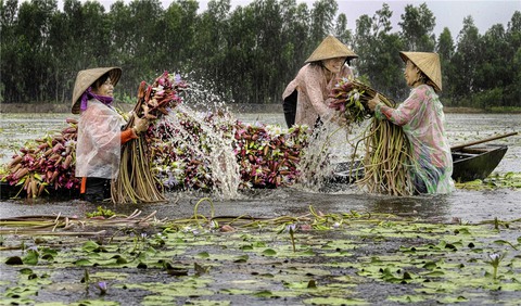 Phụ nữ Việt Nam chỉ đẹp trong lao động? - Ảnh 2. Phụ nữ Việt Nam chỉ đẹp trong lao động? - Ảnh 2.