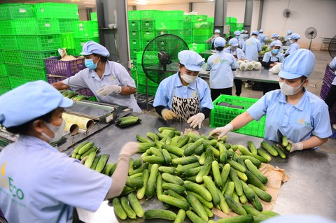 Rà tất cả quy định để thực phẩm an toàn - Ảnh 1. Rà tất cả quy định để thực phẩm an toàn - Ảnh 1.
