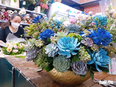 Sen đá kết bó đa sắc, hoa ‘độc bản’... hút khách dịp lễ 20-10 - Ảnh 1. Sen đá kết bó đa sắc, hoa ‘độc bản’... hút khách dịp lễ 20-10 - Ảnh 1.