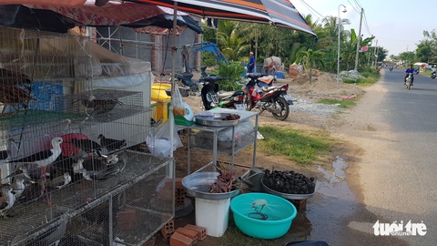 Báo động tình trạng mua bán chim, cò mùa nước nổi - Ảnh 2. Báo động tình trạng mua bán chim, cò mùa nước nổi - Ảnh 2.