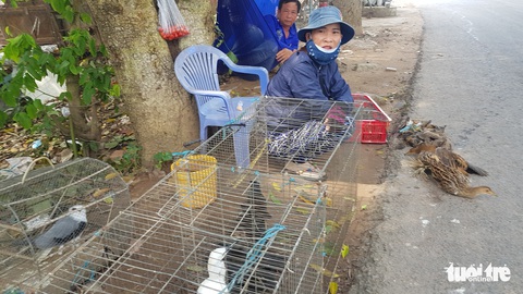Báo động tình trạng mua bán chim, cò mùa nước nổi - Ảnh 4. Báo động tình trạng mua bán chim, cò mùa nước nổi - Ảnh 4.