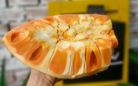 Đến 330.000 đồng/kg mít ruột đỏ đã lật múi nhưng vẫn không có hàng bán - Ảnh 1. Đến 330.000 đồng/kg mít ruột đỏ đã lật múi nhưng vẫn không có hàng bán - Ảnh 1.
