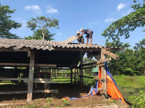 Nguyên bí thư Tỉnh ủy Đắk Lắk trả lại đất ở khu bảo tồn: Tôi hơi buồn chứ chẳng tiếc gì cả - Ảnh 1. Nguyên bí thư Tỉnh ủy Đắk Lắk trả lại đất ở khu bảo tồn: Tôi hơi buồn chứ chẳng tiếc gì cả - Ảnh 1.