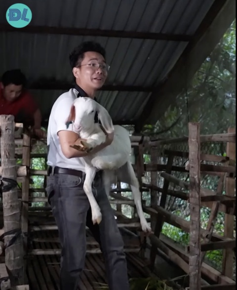 Lạ lùng chú dê biết gọi ‘Mẹ ơi’ bằng tiếng Việt như người - Ảnh 1. Lạ lùng chú dê biết gọi ‘Mẹ ơi’ bằng tiếng Việt như người - Ảnh 1.