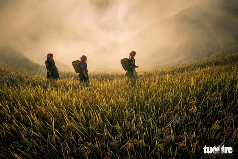 Đi tìm hình bóng phụ nữ Việt Nam qua những bức ảnh - Ảnh 10. Đi tìm hình bóng phụ nữ Việt Nam qua những bức ảnh - Ảnh 10.