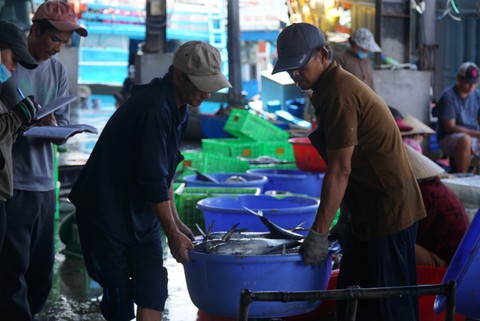 Đoàn thanh tra của Ủy ban châu Âu đến Khánh Hòa kiểm tra chống khai thác IUU - Ảnh 2. Đoàn thanh tra của Ủy ban châu Âu đến Khánh Hòa kiểm tra chống khai thác IUU - Ảnh 2.