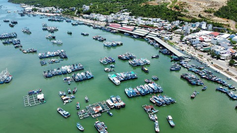 Đoàn thanh tra của Ủy ban châu Âu đến Khánh Hòa kiểm tra chống khai thác IUU - Ảnh 1. Đoàn thanh tra của Ủy ban châu Âu đến Khánh Hòa kiểm tra chống khai thác IUU - Ảnh 1.